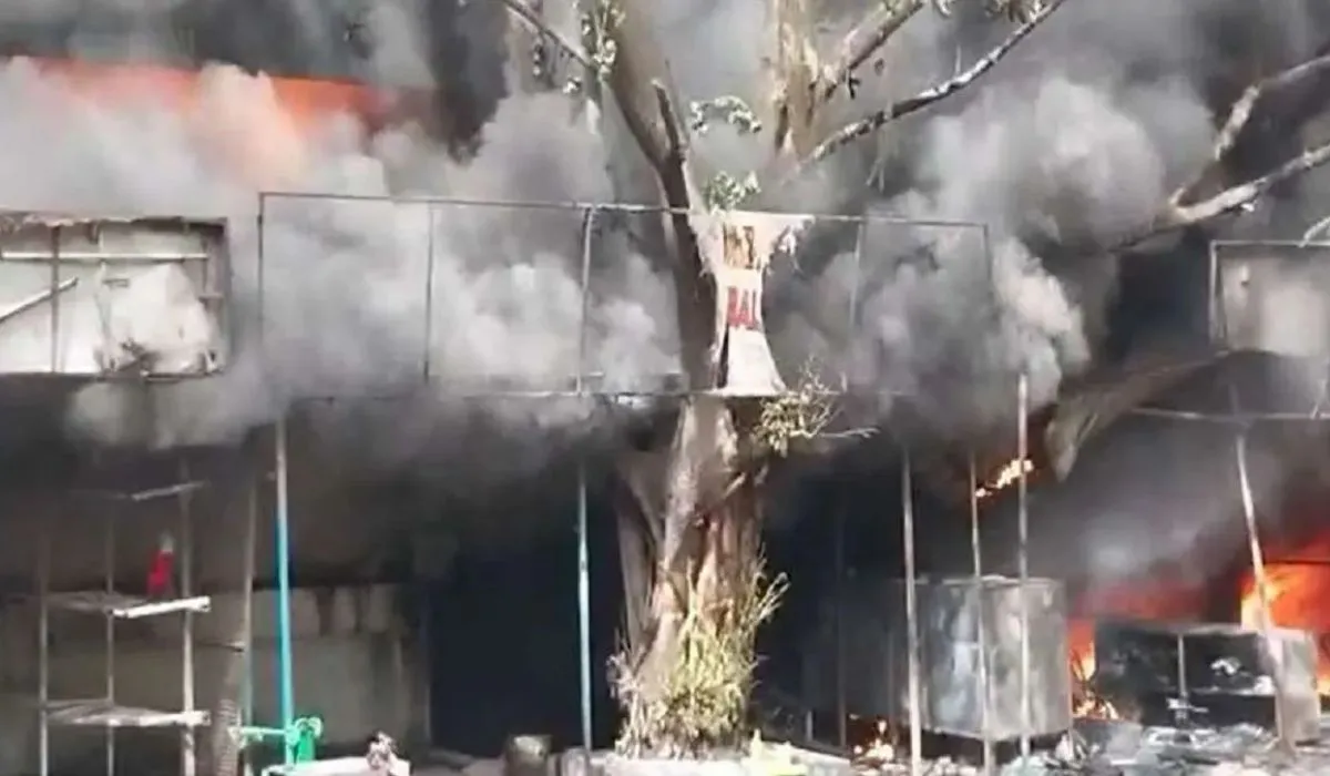 Janakpuri Sub-Registrar office Fire (credit: social media )
