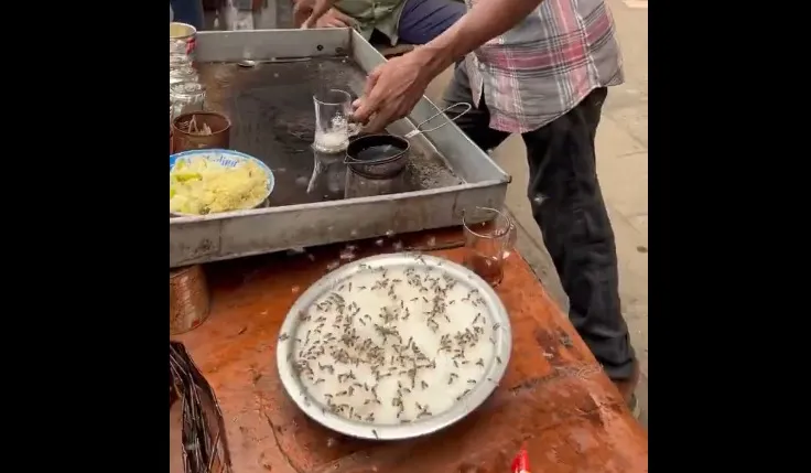 Tea social media viral video