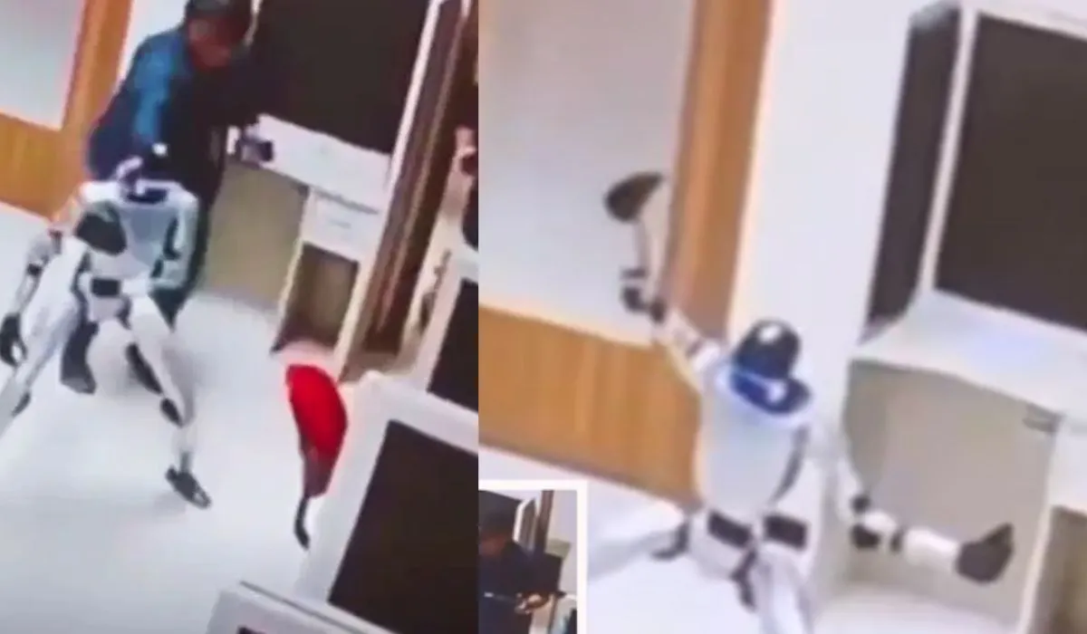 Humanoid Robot Attack (credit social media )