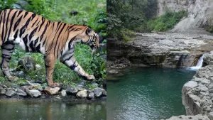Bihar Monsoon Travel places
