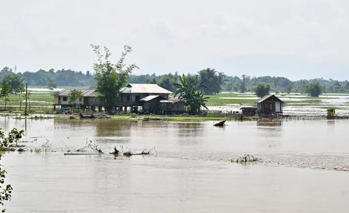 Assam Flood (Source: Social Media)