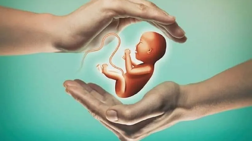 IVF Day