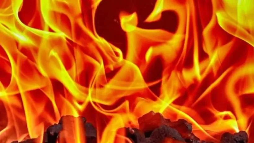 Delhi : बंद पड़े मोहल्ला क्लीनिक में लगी भीषण आग, एक घंटे की मशक्कत के बाद पाया गया काबू