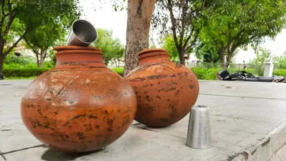 Pot