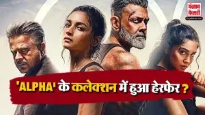 Alpha Box Office