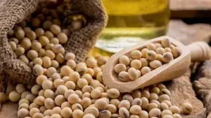 Healthy diet for shiny hair