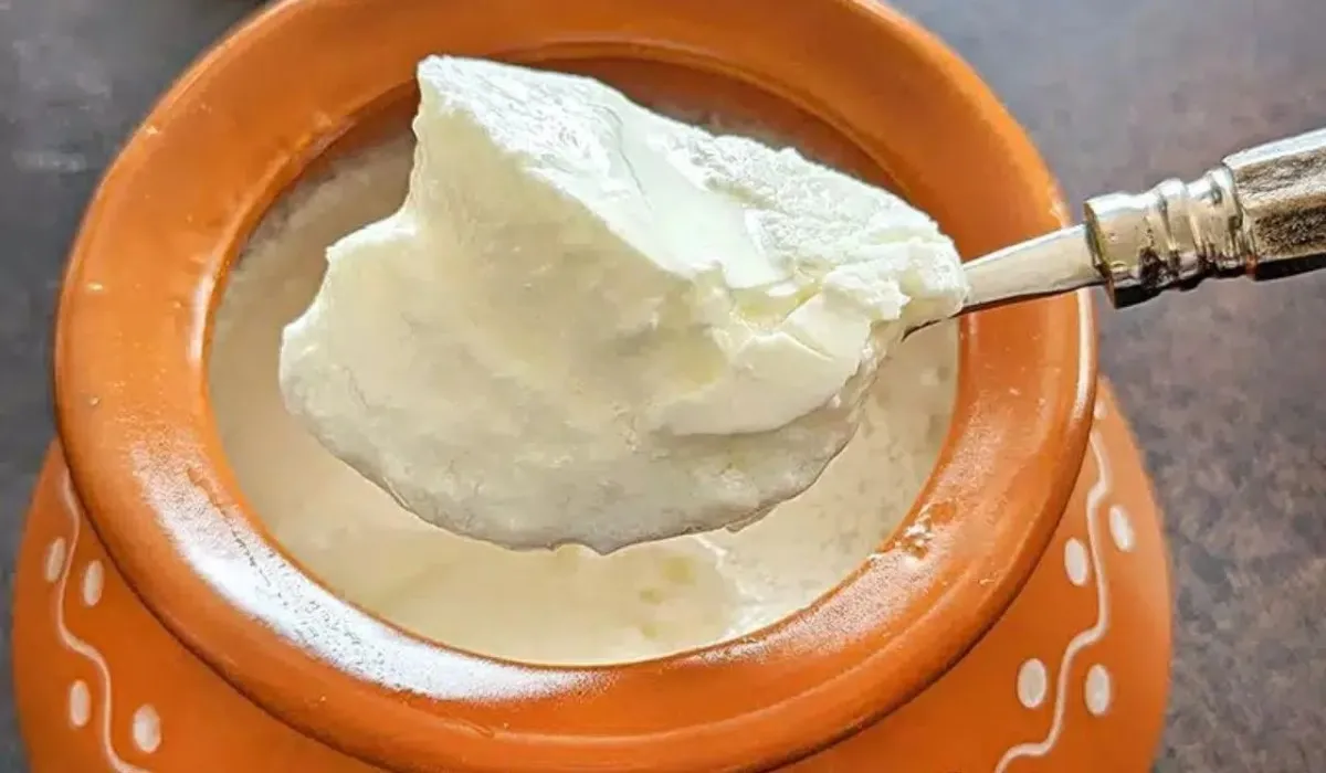Best Foods for Monsoon