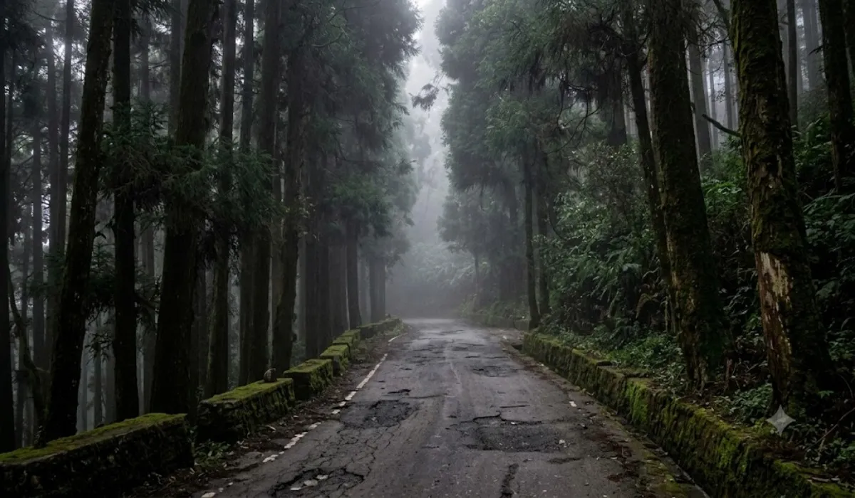 Dow Hill Death Road