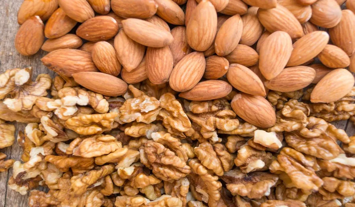 High Protein Foods