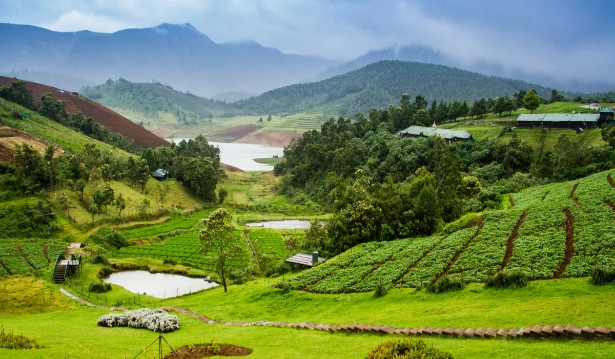 15 August Ooty holiday package