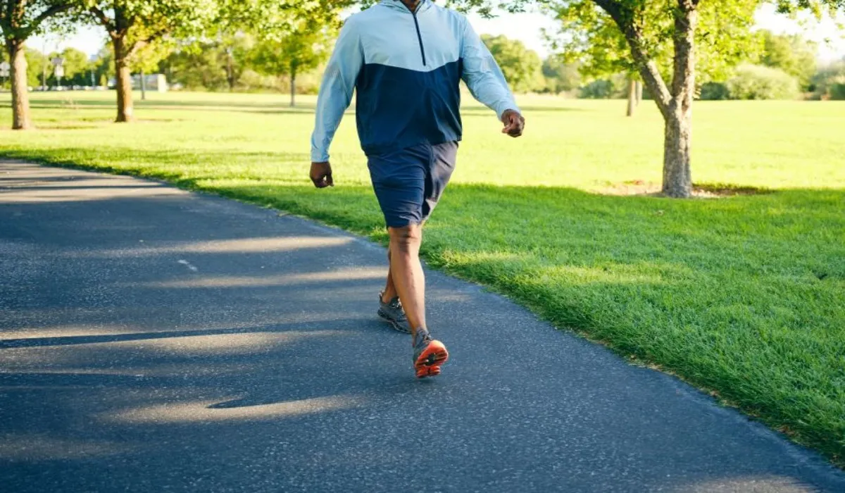 Calories burned daily walking