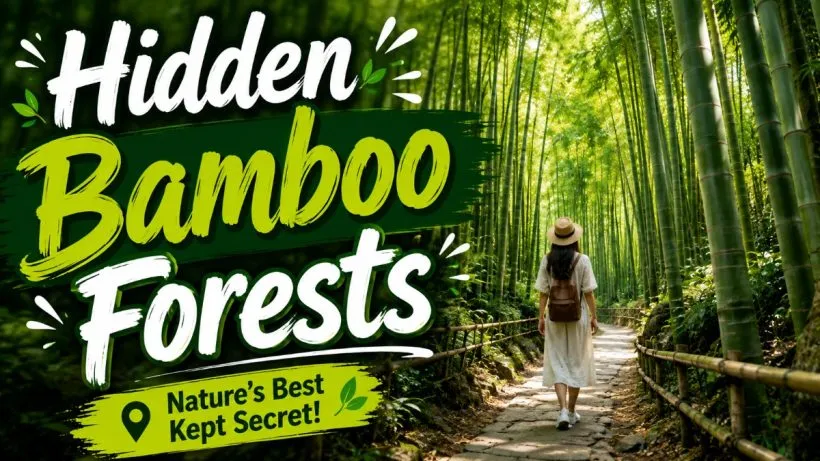 Hidden Bamboo Forests