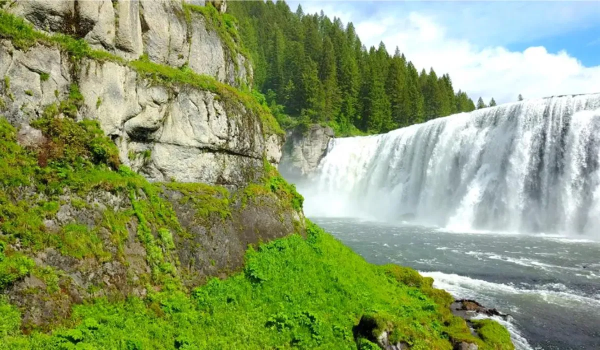 Hidden Jungle Waterfalls