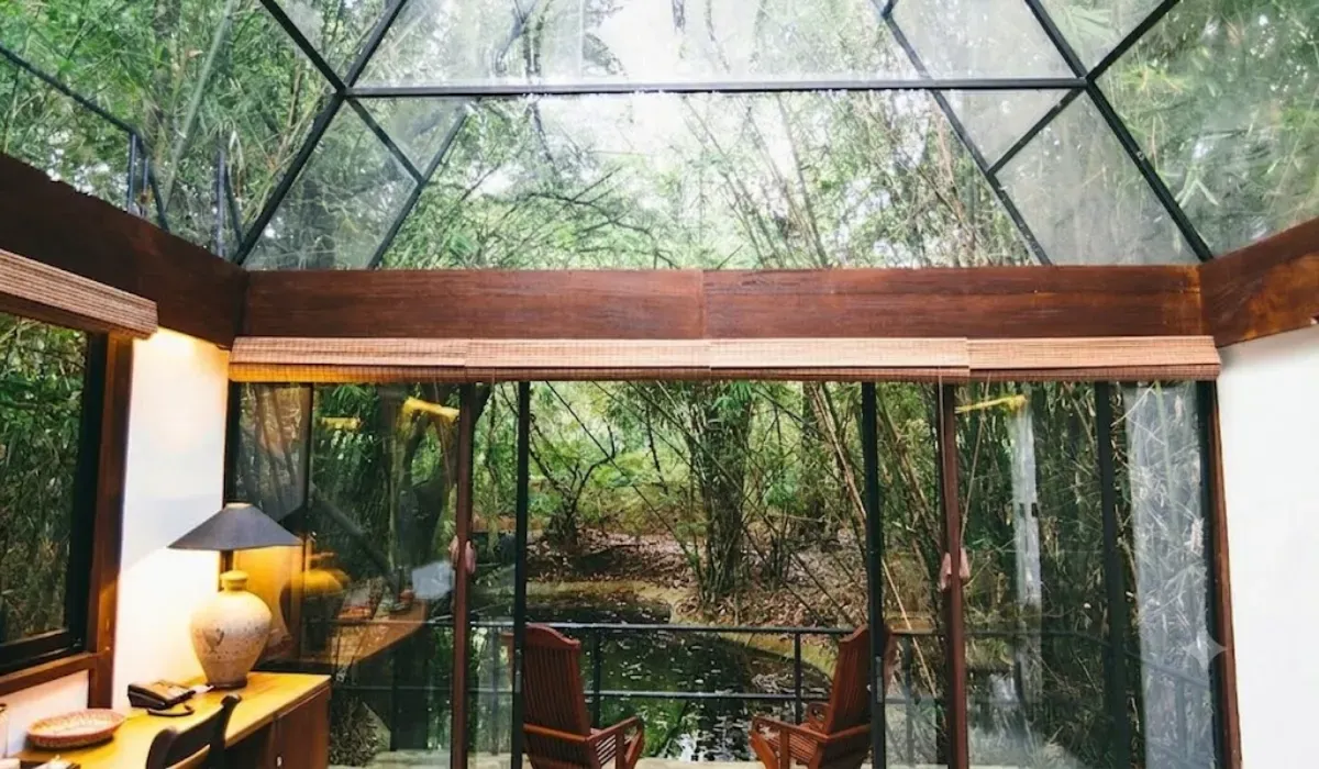Best hidden bamboo Forest