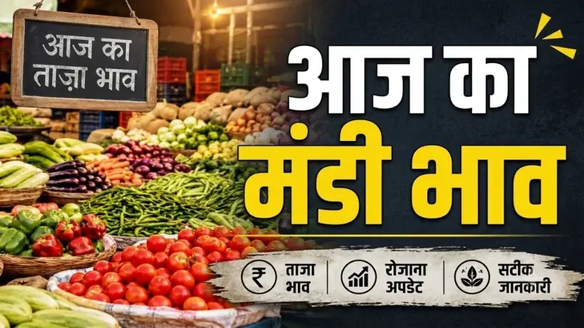 Aaj Ka Mandi Bhav 26 August
