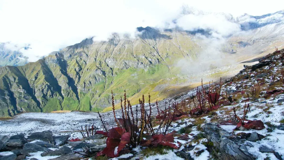 Nanda Devi Inner Sanctuary, Uttarakhand