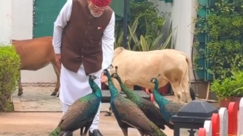 PM Narendra Modi