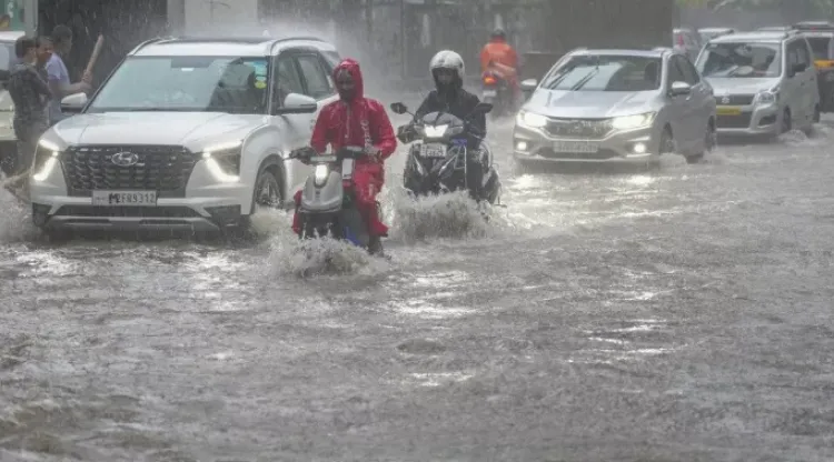 Delhi-NCR Weather (Source: Social Media)