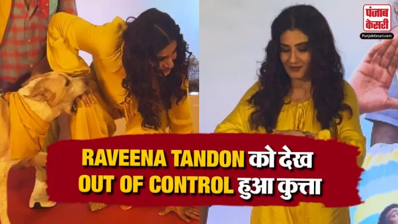 Raveena Tandon Dog Attack