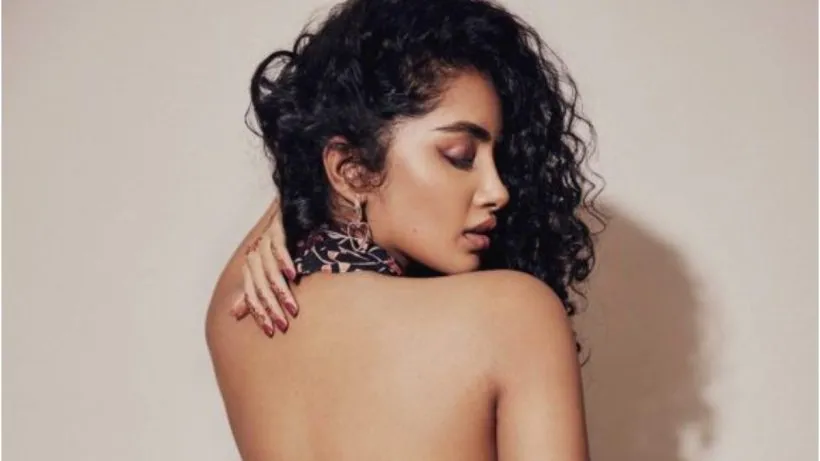 Anupama Parmeshvaran On Her Ex Partner