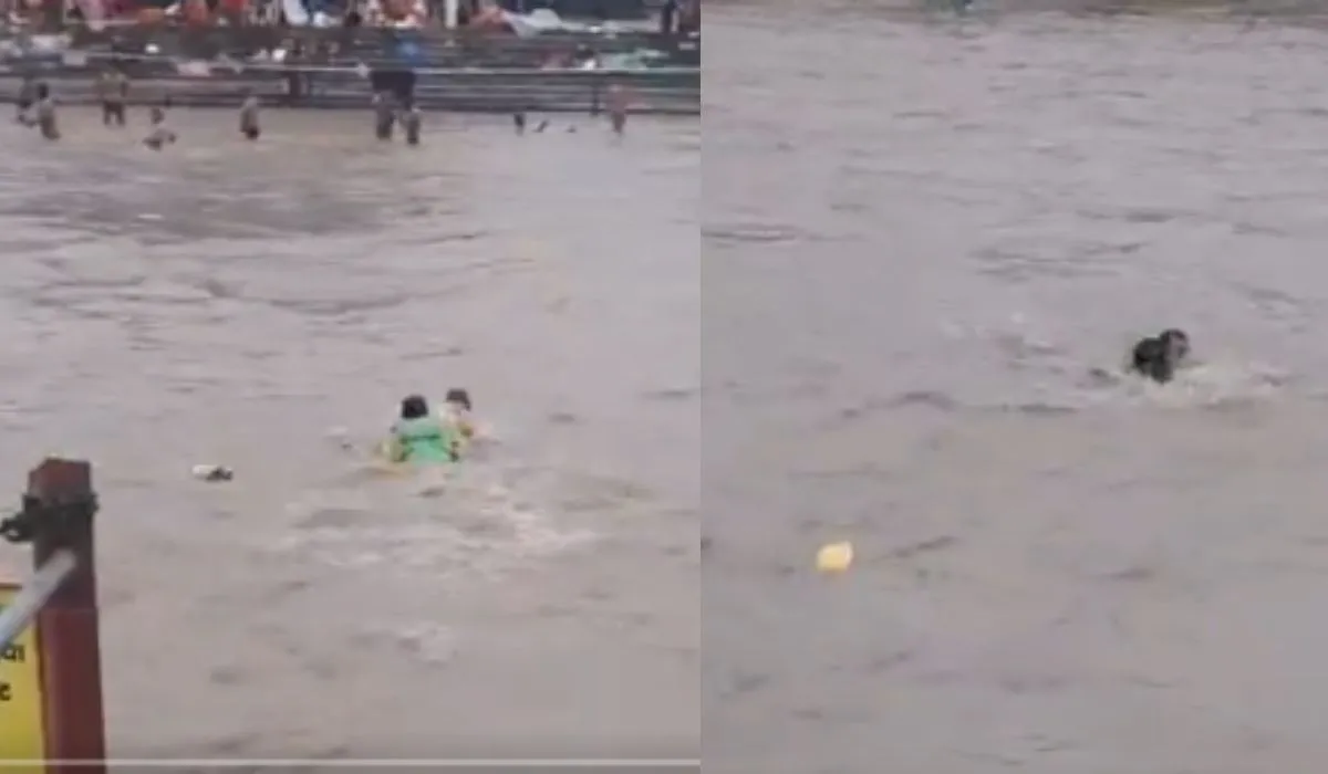 Haridwar SDRF Rescue Viral Video ( credit social media )