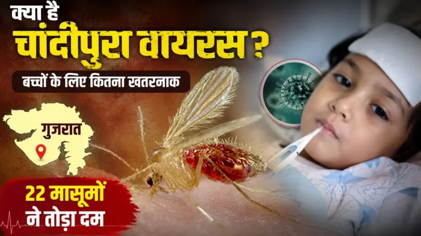 Chandipura Virus Kya Hai ( credit AI genrated )