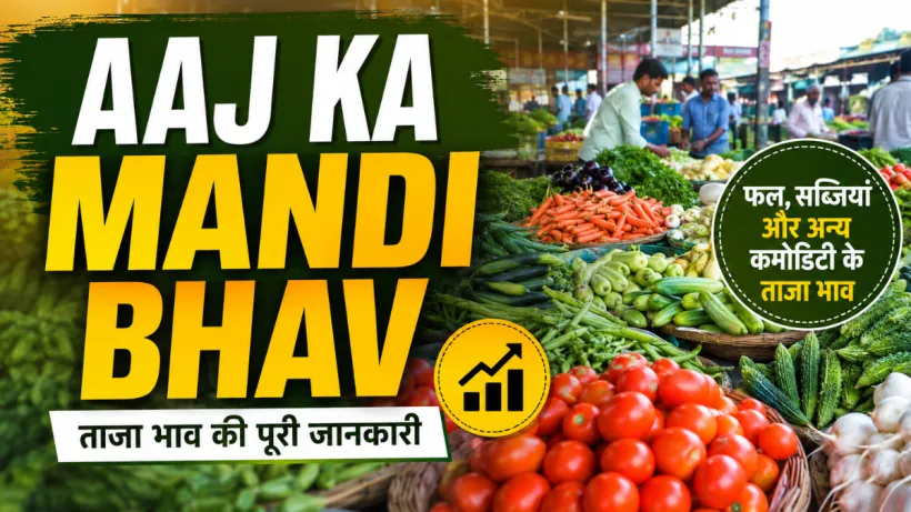 Aaj Ka Mandi Bhav 11 August