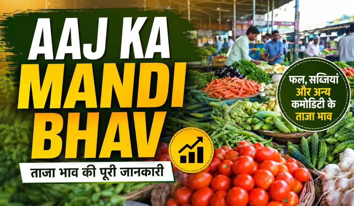 Aaj Ka Mandi Bhav 11 August