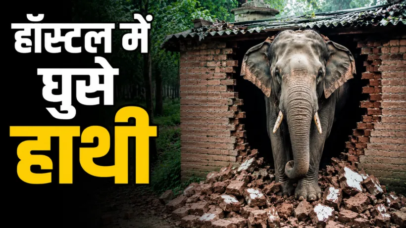 Chhattisgarh Human Elephant Conflict