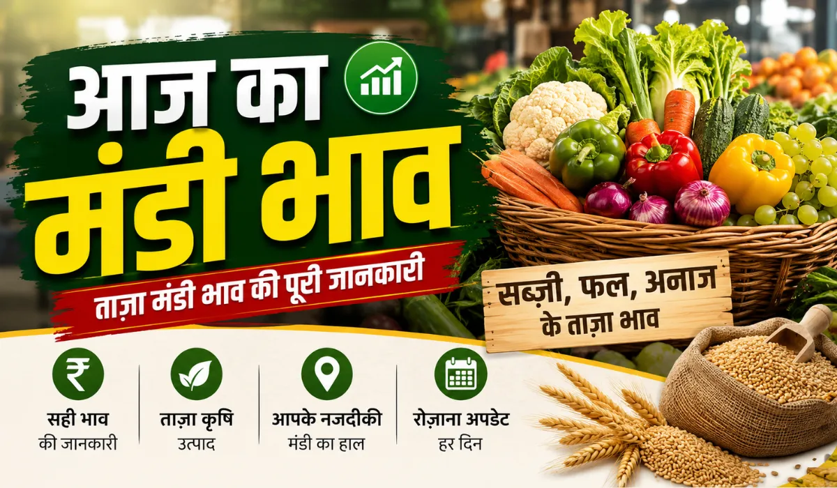 Aaj Ka Mandi Bhav 12 August