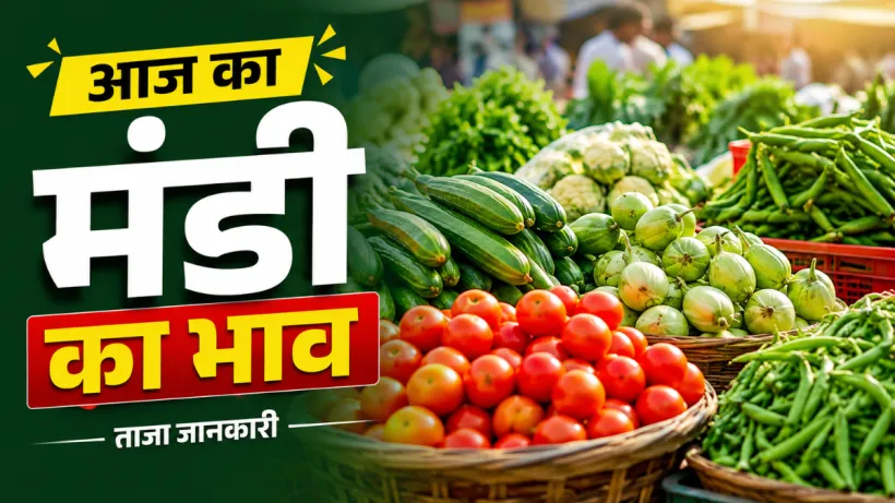 Aaj Ka Mandi Bhav 14 August