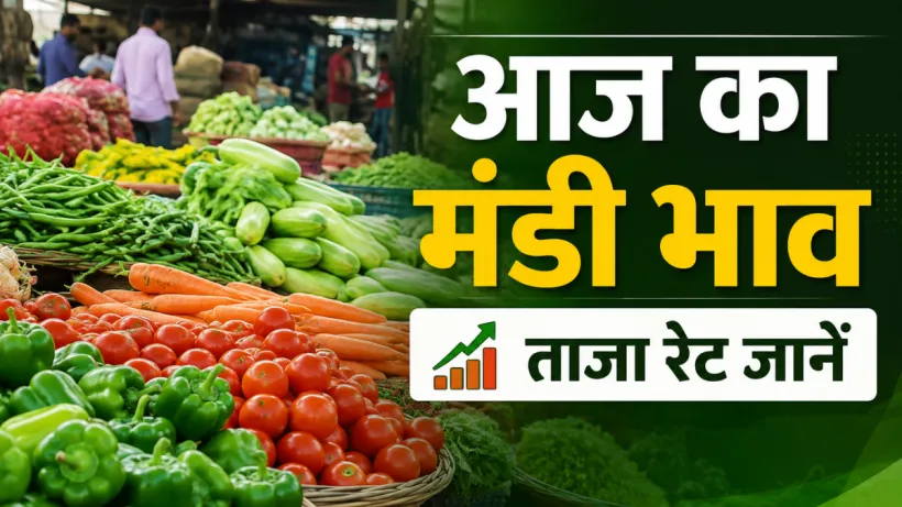 Aaj Ka Mandi Bhav 18 August
