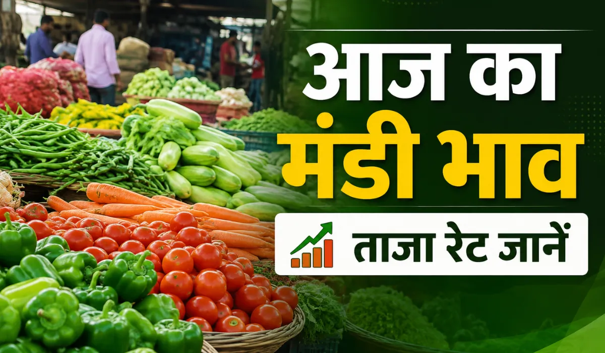 Aaj Ka Mandi Bhav 18 August