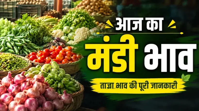 Aaj Ka Mandi Bhav 19 August