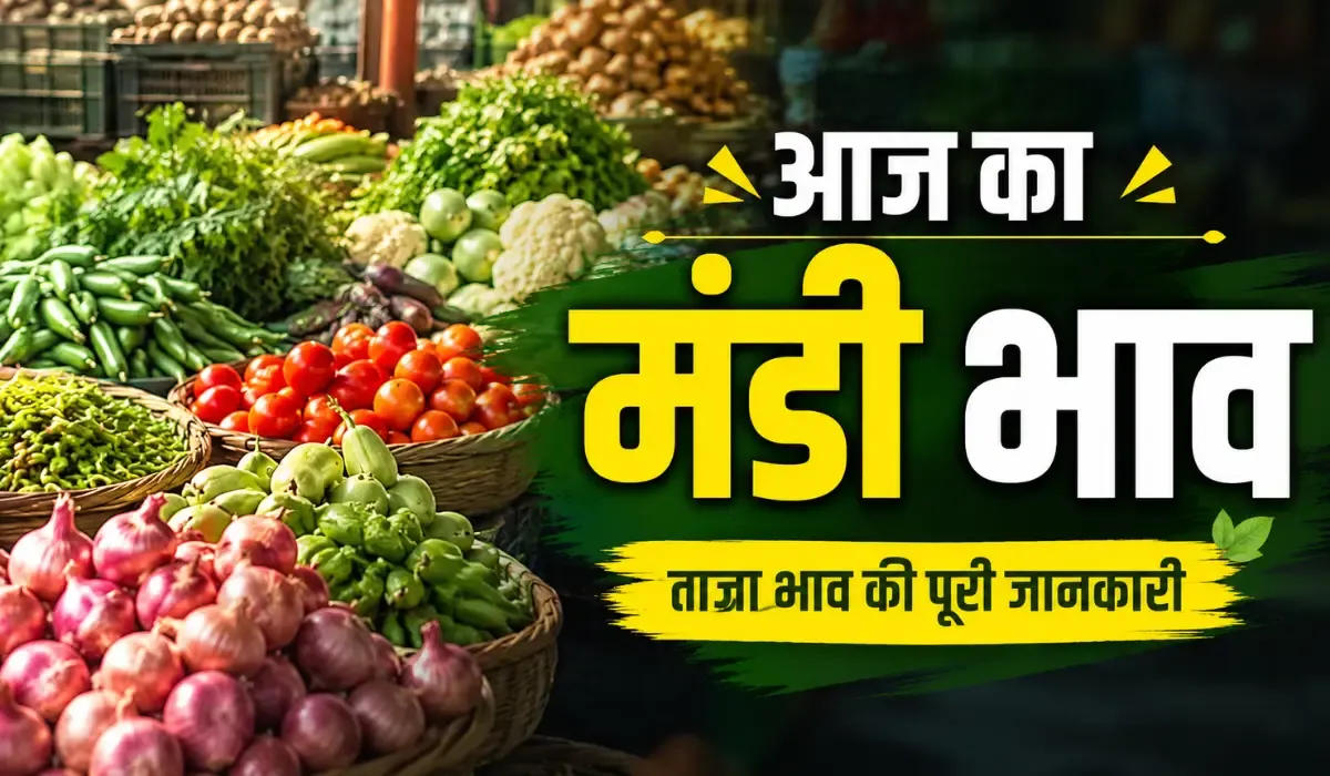 Aaj Ka Mandi Bhav 19 August