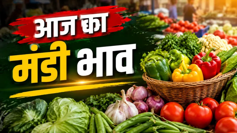 Aaj Ka Mandi Bhav 21 August
