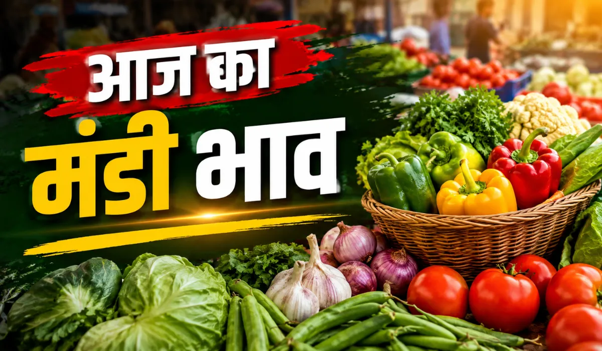Aaj Ka Mandi Bhav 21 August