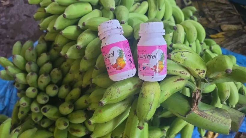 10000 kg Bananas Seized Karnataka (credit social media)