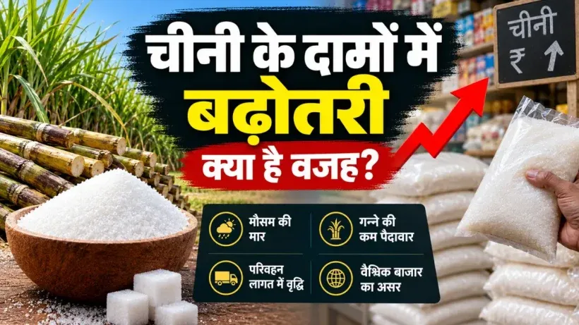 Sugar Price Hike Reason
