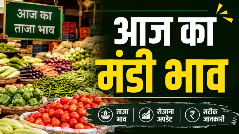Aaj Ka Mandi Bhav 25 August