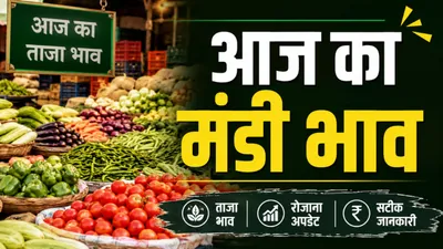 Aaj Ka Mandi Bhav 25 August