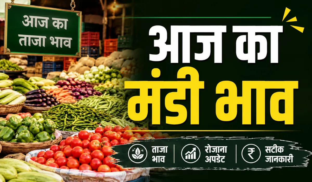 Aaj Ka Mandi Bhav 25 August