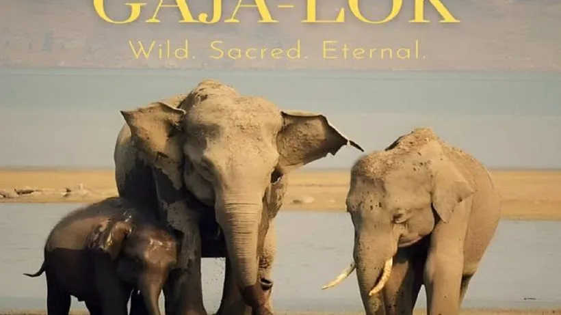 World Elephant Day