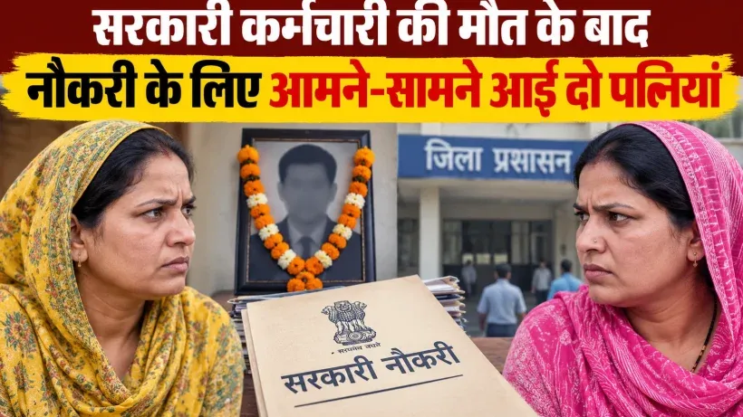Government Job Fight Between Two Wives (AI ganreted )