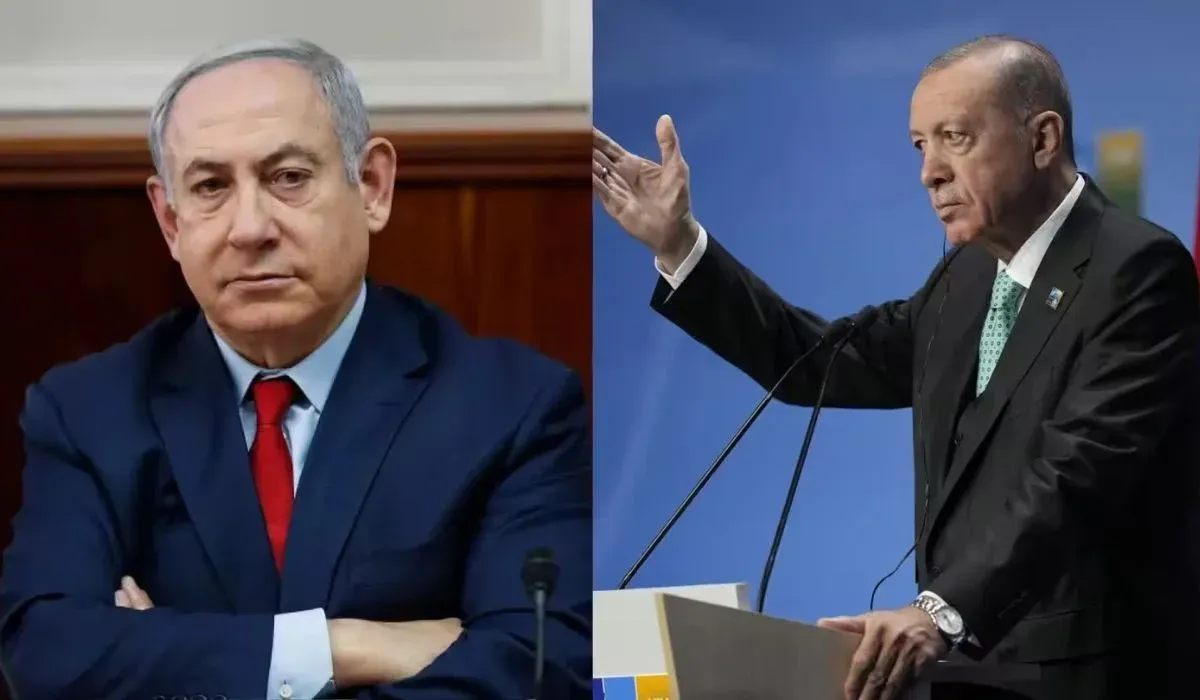 Erdoğan Dictator Allegations(credit social media)
