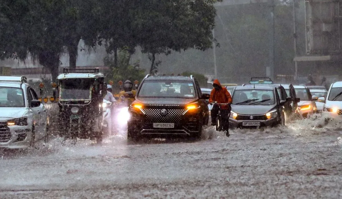 Delhi NCR Weather Update (credit social media )