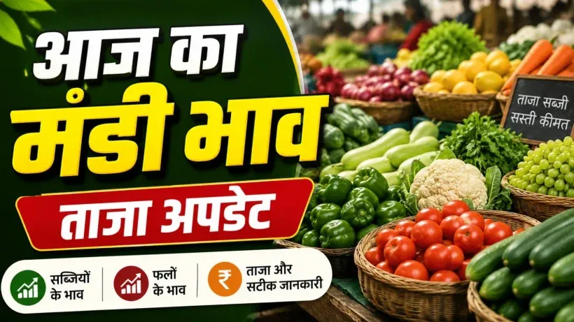 Aaj Ka Mandi Bhav 29 August (AI ganreted )