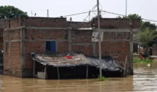Bihar Flood (Source: Social Media)