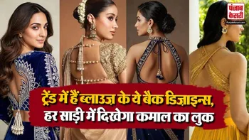 Blouse Back Designs( Source: Social Media)