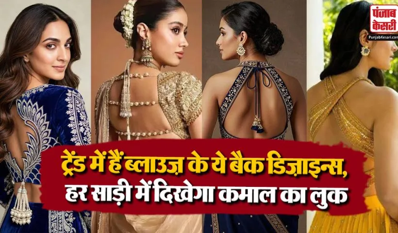 Blouse Back Designs( Source: Social Media)